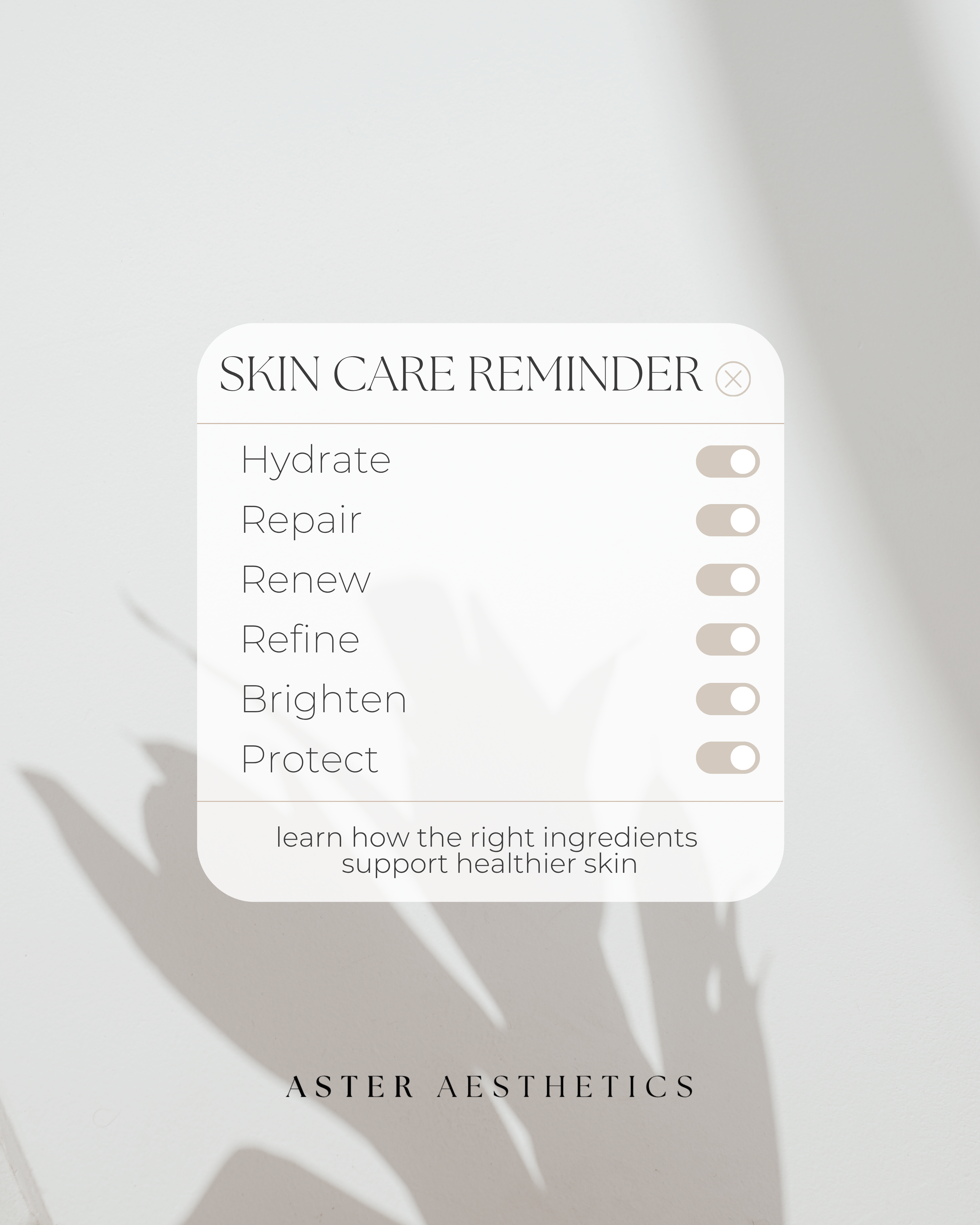 The 6 Pillars of Skin Health: What Your Skincare Routine Actually Needs