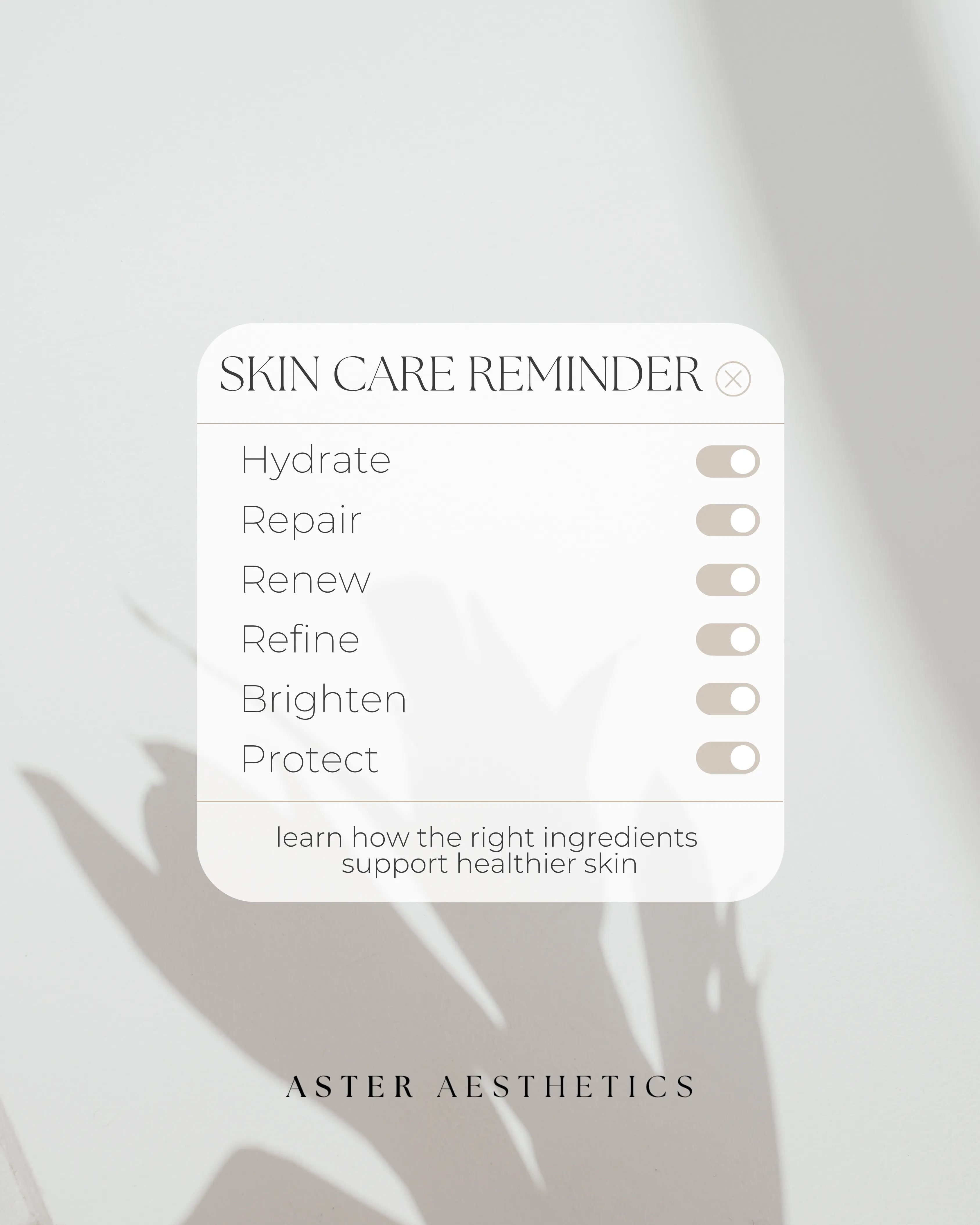 The 6 Pillars of Skin Health: What Your Skincare Routine Actually Needs